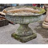 Large Impressive weathered reconstituted stone garden urn with lobed bowl and flared rim, H 70m x