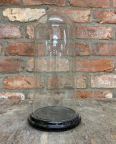 Victorian glass taxidermy display dome with wooden base, H 34cm