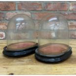 Pair of antique glass domes on ebonised base with red velvet interior, H 20cm x W 20cm