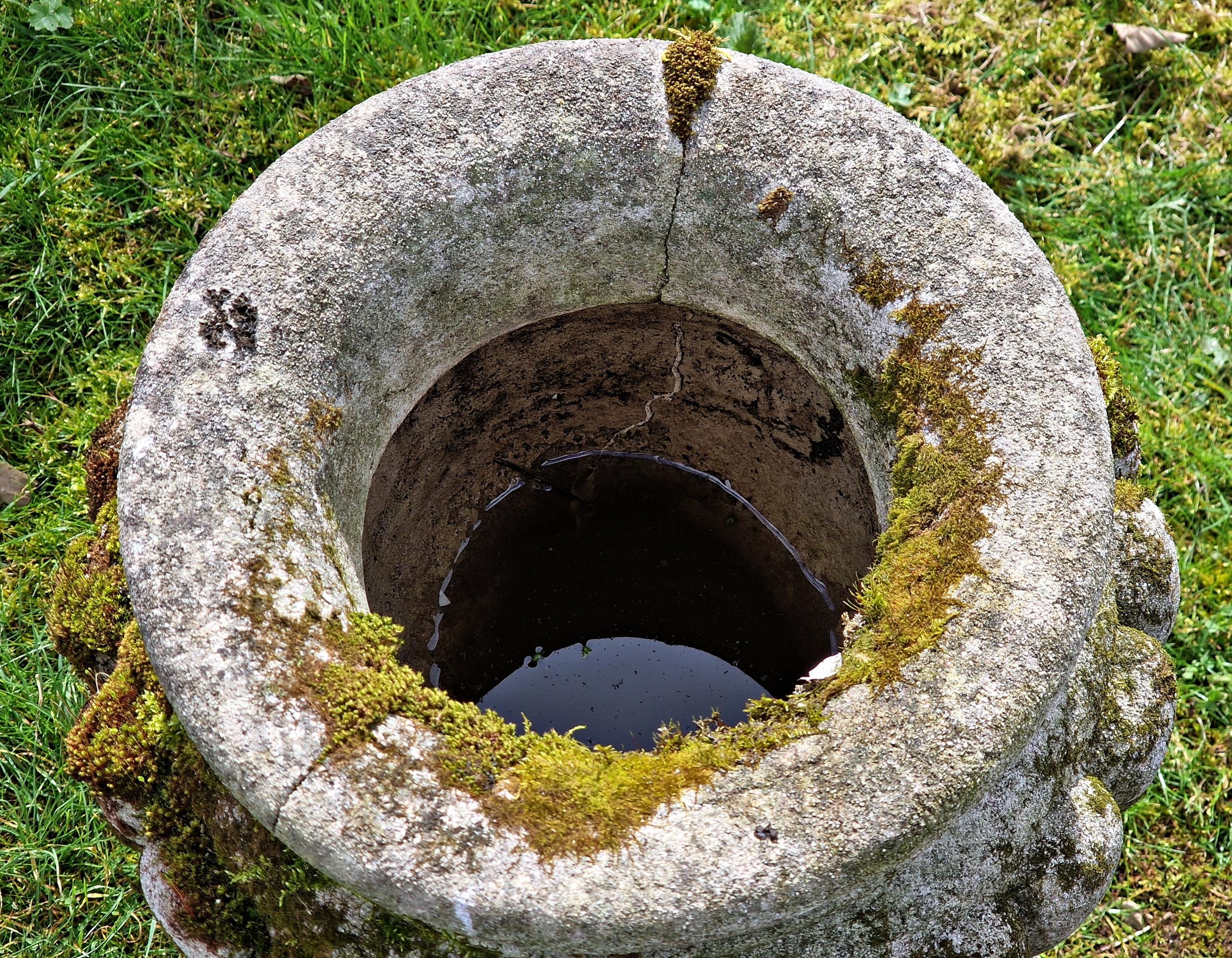 Well weathered reconstituted stone garden urn with lobed bowl raised on a square cut pedestal with - Image 2 of 2