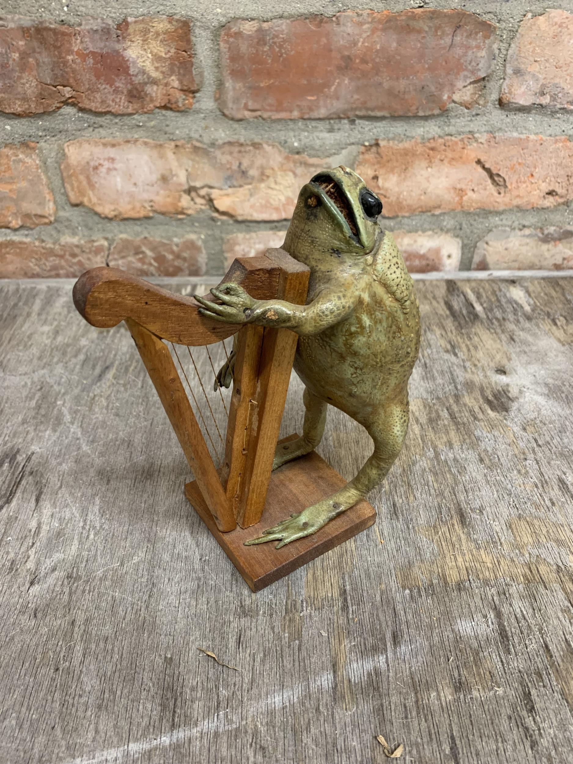 Taxidermy toad playing a harp H 20cm