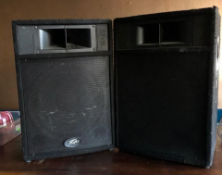 2x Peavey Pro ST15 Passive PA Speakers