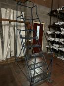 Mobile 6 Step Ladders