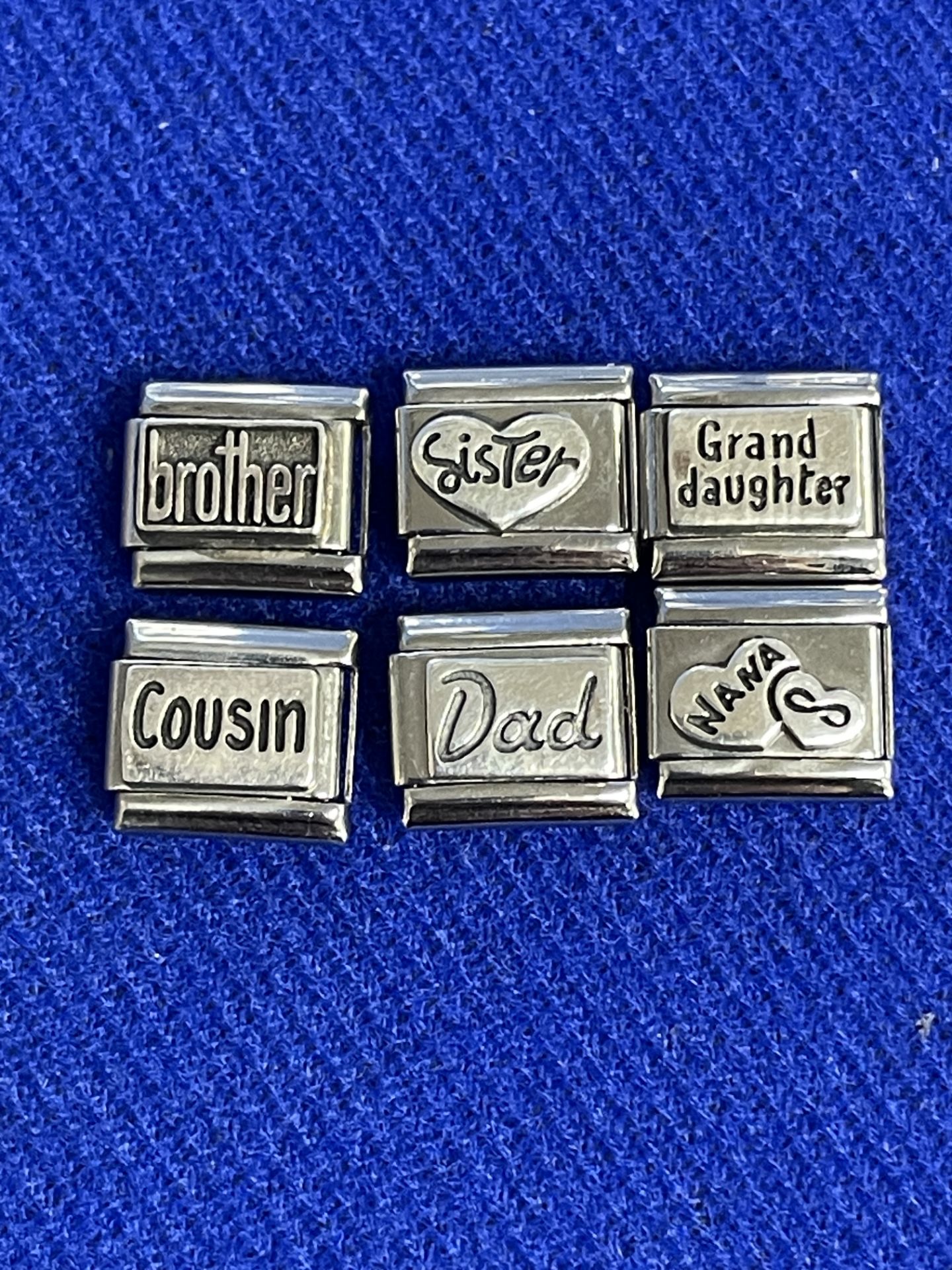 6 x Ex-Display Classic Family Themed Nomination Charms