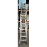 Triple Extension Ladder | Extending Height: 10.1m