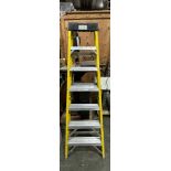 Werner 7 Tread Step Ladder