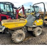 Wacker Neuson 1001 1T Dumper | YOM: 2021 | Hours: 410