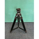 Jieyang Professional Camera Tripod