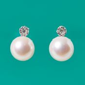 Paar Perlen-Ohrringe