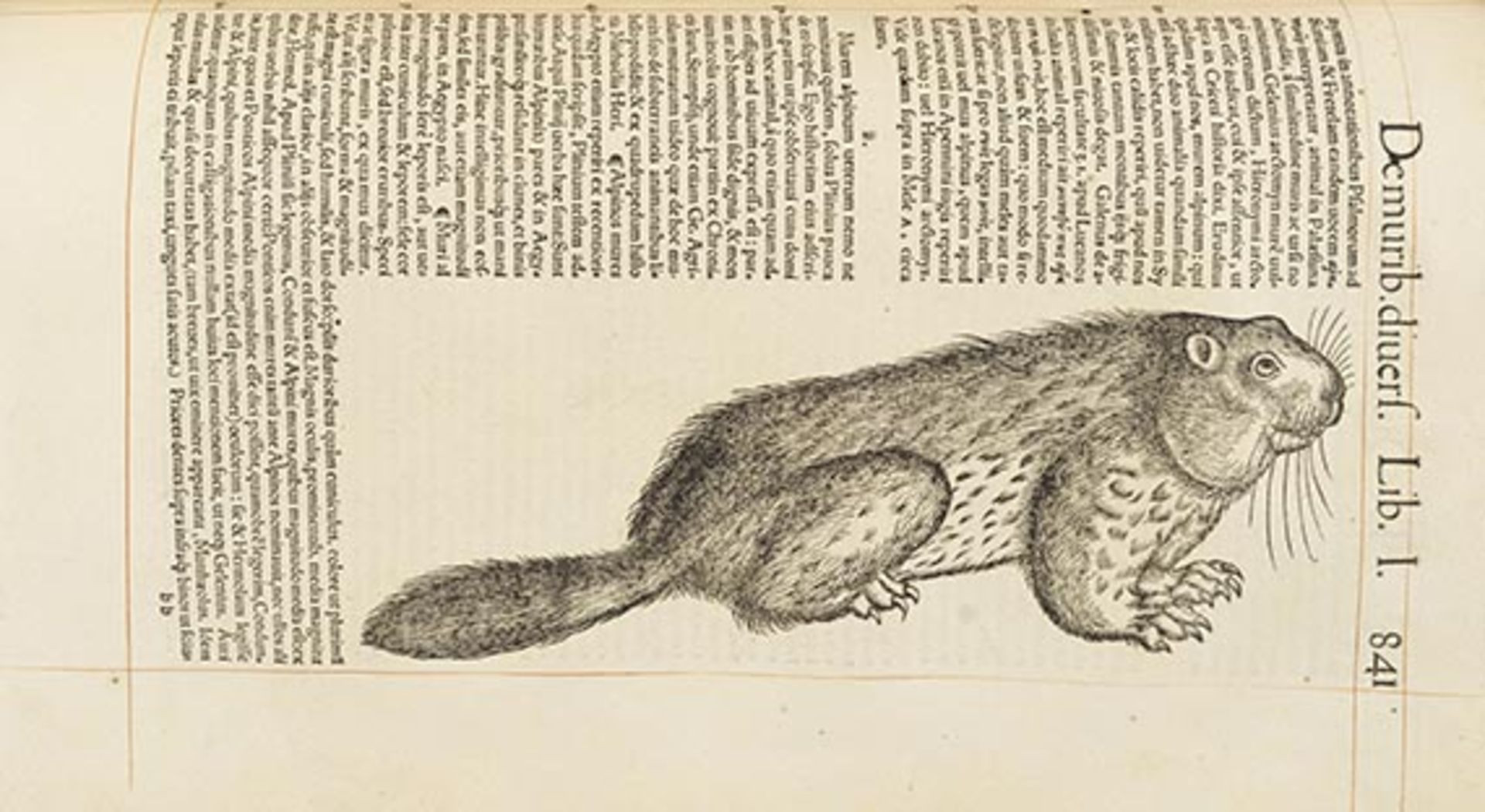 Conrad Gesner, Historiae animalium lib. I. de quadrupedibus viviparis