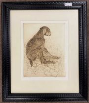 Anna Ravenscroft (British, contemporary), Young Goat Kid, etching, artist's proof, signed in pencil,