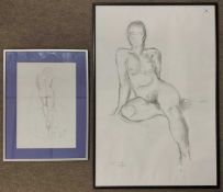 British School, 21 century, Study of a nude female, charcoal and ink on paper, Signed, Molly...[