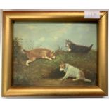 British School, 20th century, Hunting Terriers, oil on board, unsigned,16.5x22cm, framed