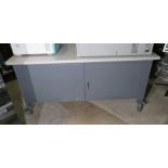 Steel Industrial Cabinet on Casters, 72”l x 30”w x 37”H