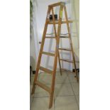 Werner 6ft wood step ladder