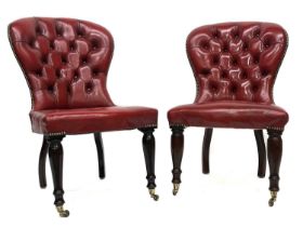 A pair of Victorian design gentleman's library balloon back chairs, brass studded button back red