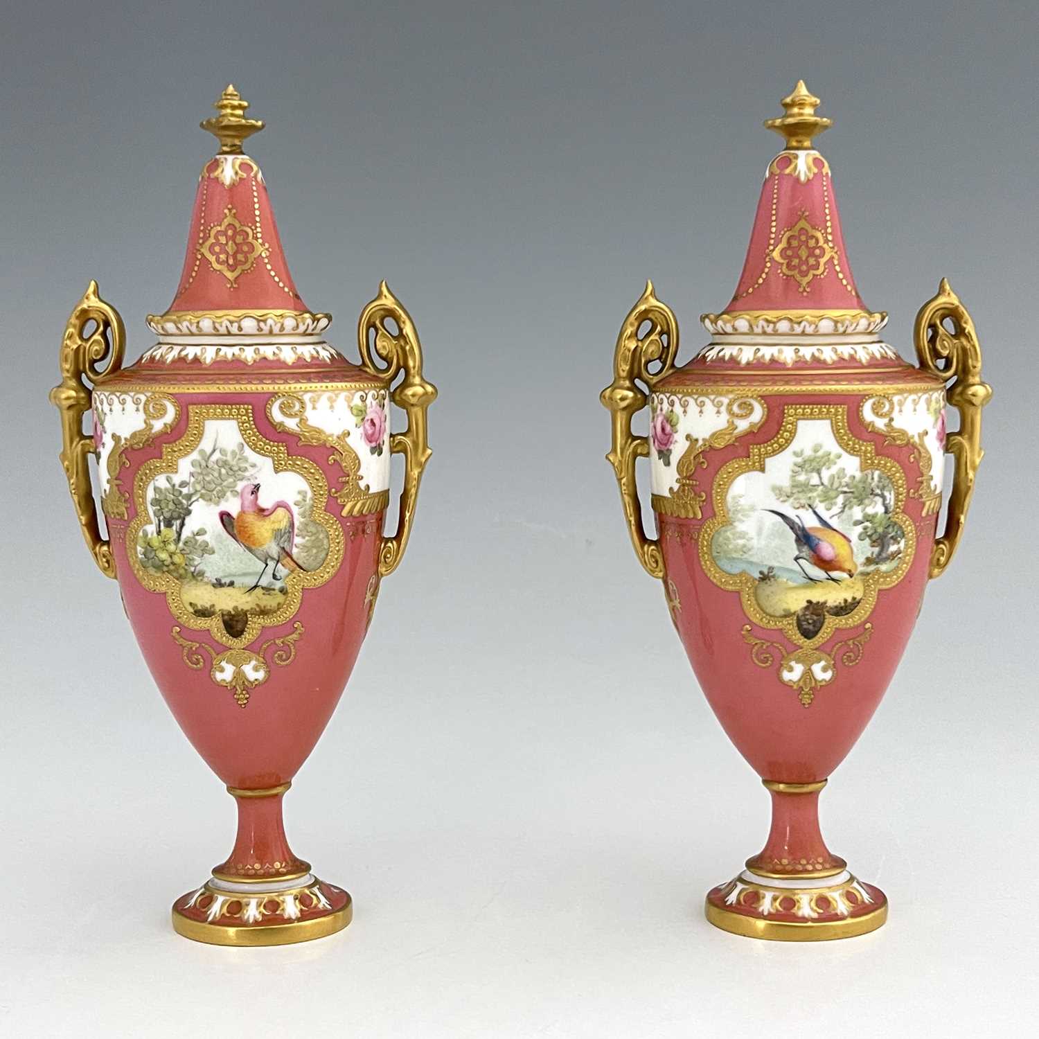 A pair of Royal Crown Derby exotic bird painted vases and covers, 1909, twin handled pedestal urn - Image 3 of 7