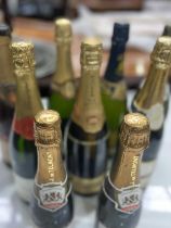 A collection of champagne together with two champagne demi bottles ((9)