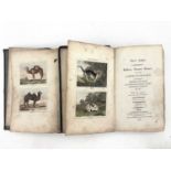 Buffon (George Louis le Clerc comte de), 'Buffon's Natural History', 1810 etc, eight volumes, H.D.