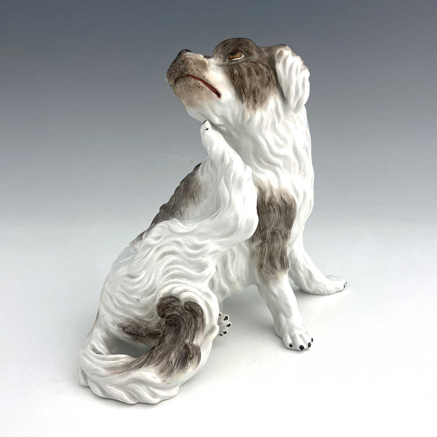 A Meissen figure of a Bolognese dog, model 78528, early 20th century, after J J Kaendler, modelled - Image 2 of 5