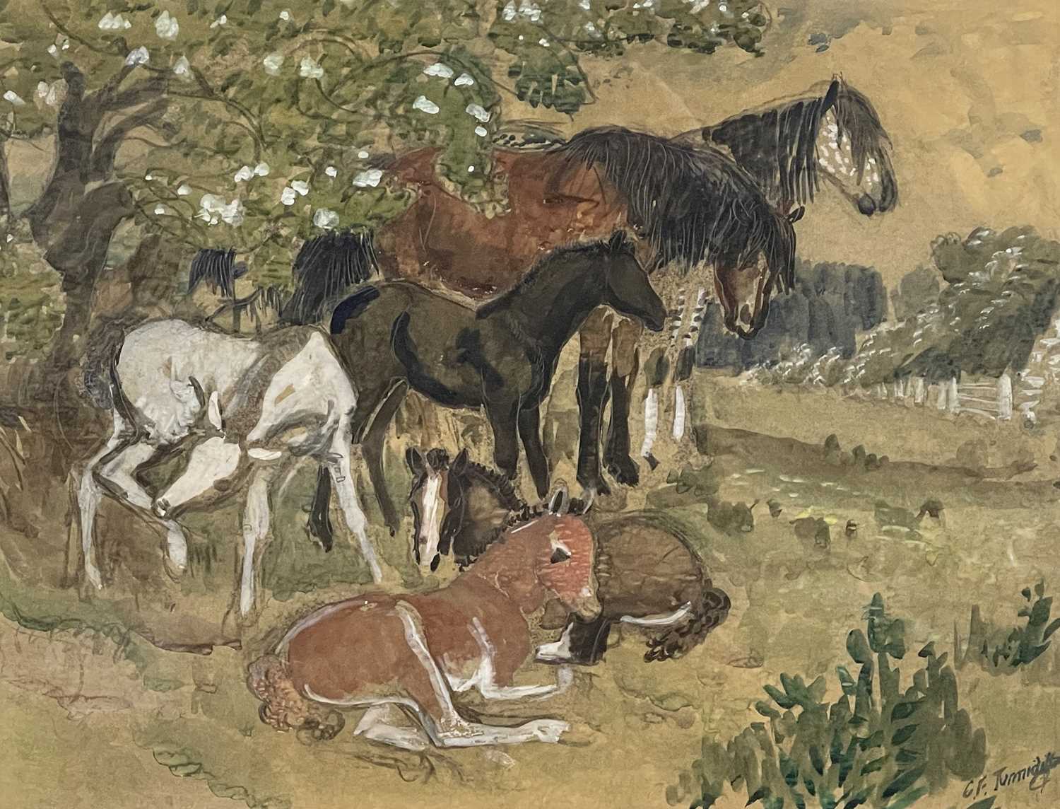 Charles Frederick Tunnicliffe R.A. (British, 1901-1979), horses and foals in pastureland, signed l.