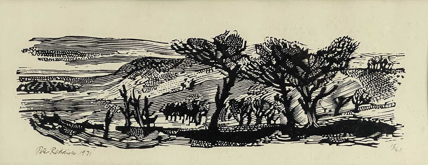 Peter Reddick (British, 1924-2010), landscape with trees, signed and dated 1971 l.l., woodcut,
