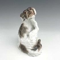 A Meissen figure of a Bolognese dog, model 78528, early 20th century, after J J Kaendler, modelled