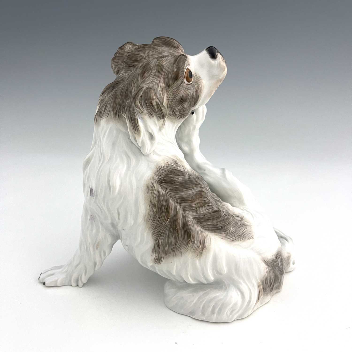 A Meissen figure of a Bolognese dog, model 78528, early 20th century, after J J Kaendler, modelled - Image 4 of 5