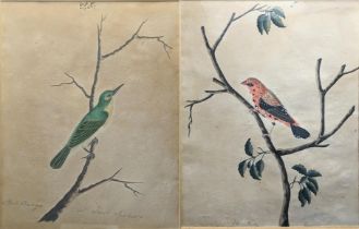 Two fine early 19th century Indian Calcutta company school paintings of birds, both hands Urdu and