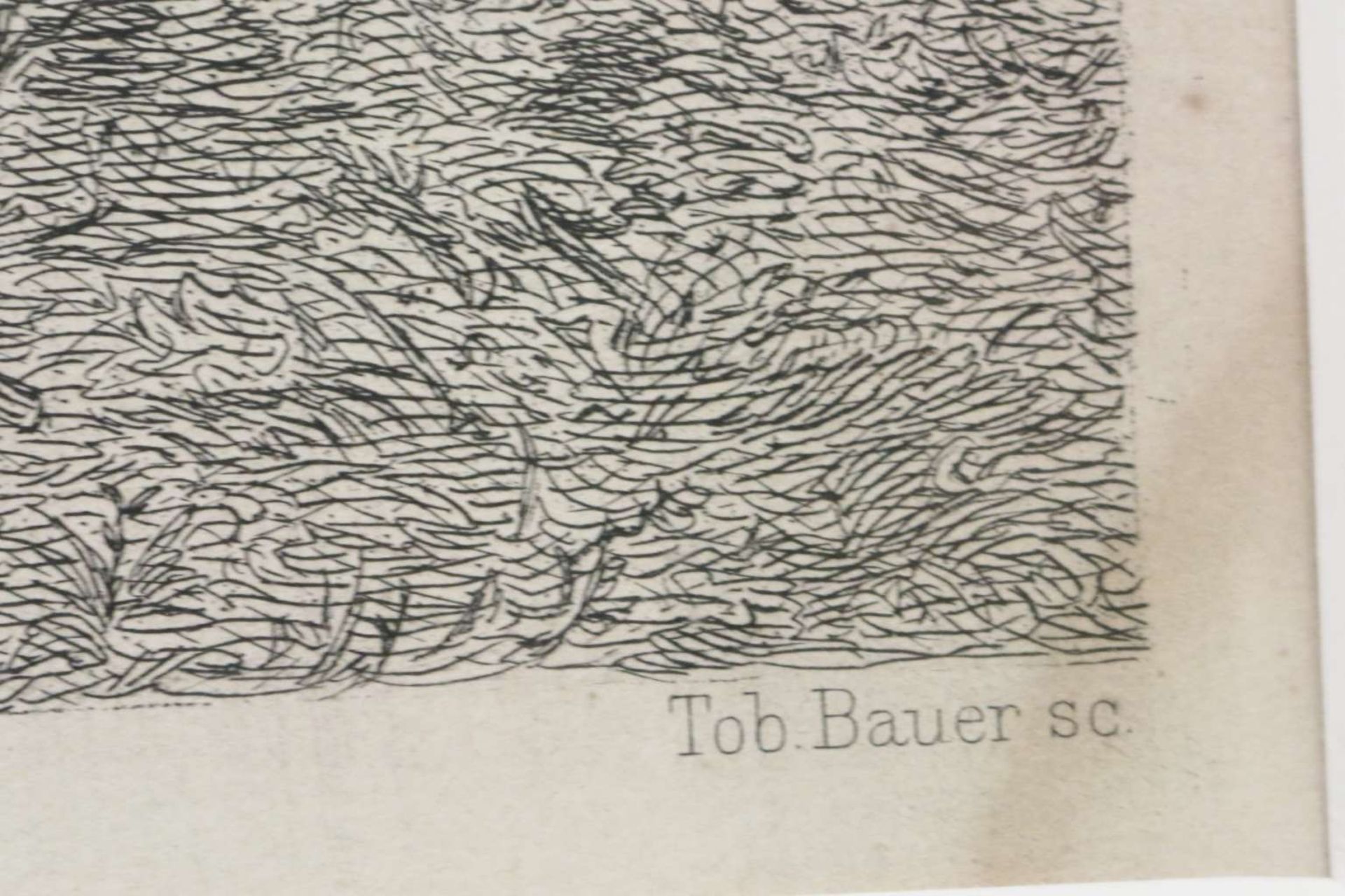Franz ADAM/ Tob. BAUER - Image 4 of 6