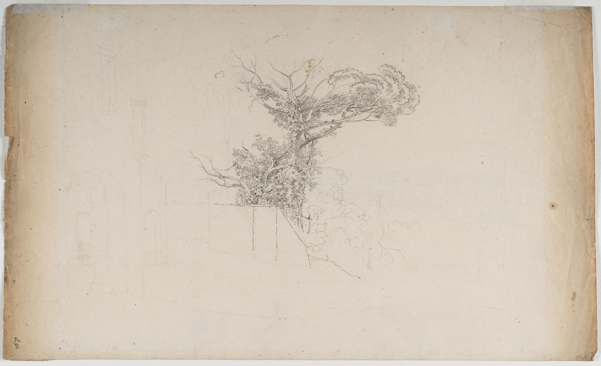 Friedrich Salathé (1793 Binningen bei Basel - Paris 1858) – Studie zu Bäumen über einer Gartenmauer - Bild 2 aus 3