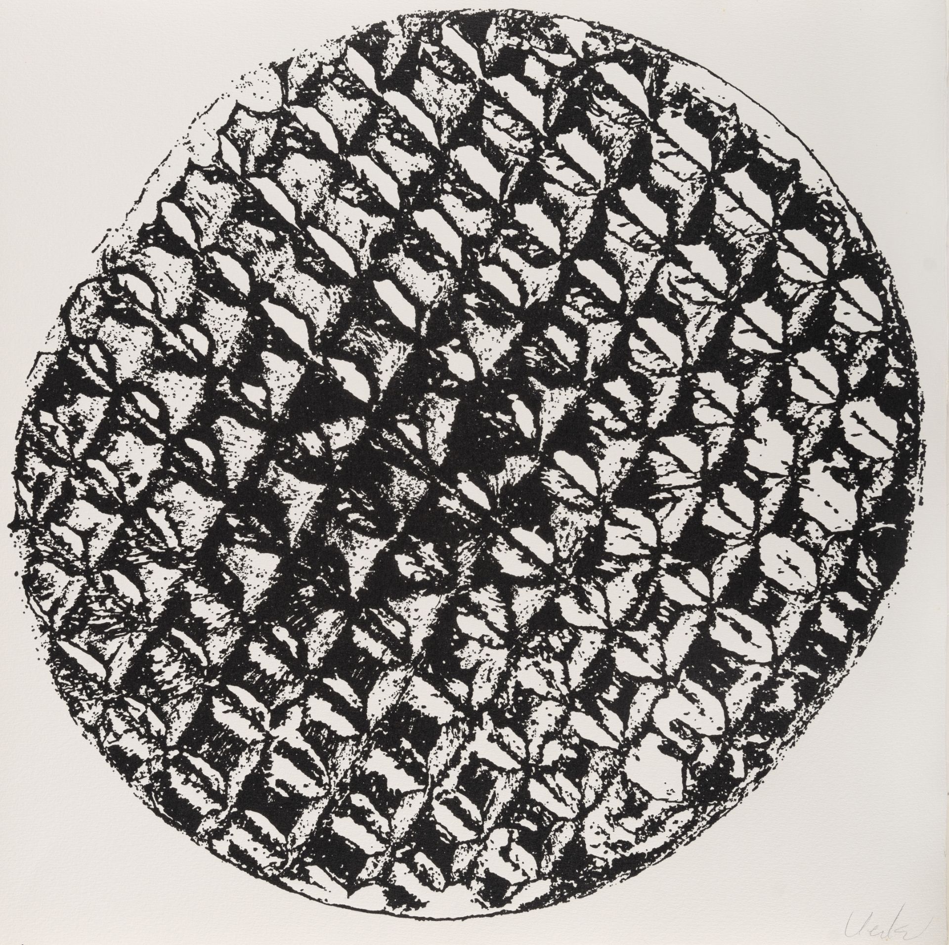Günther Uecker (1930 Wendorf) – Leibbeschreibung eines Nagels
