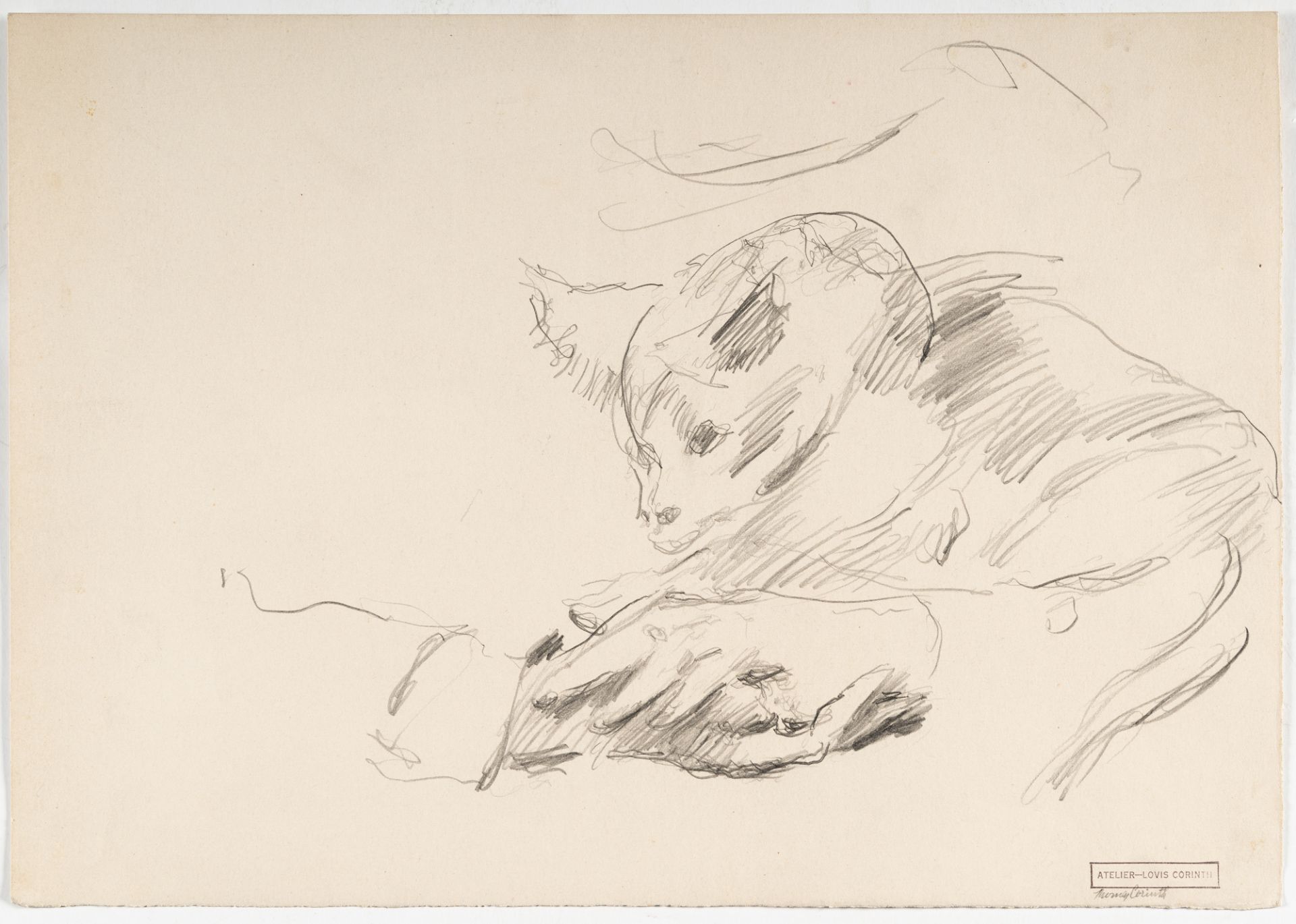 Lovis Corinth (1858 Tapiau/Ostpreußen - Zandvoort 1925) – Recto: Hände mit Katze – Verso: Katzenstud - Bild 2 aus 3