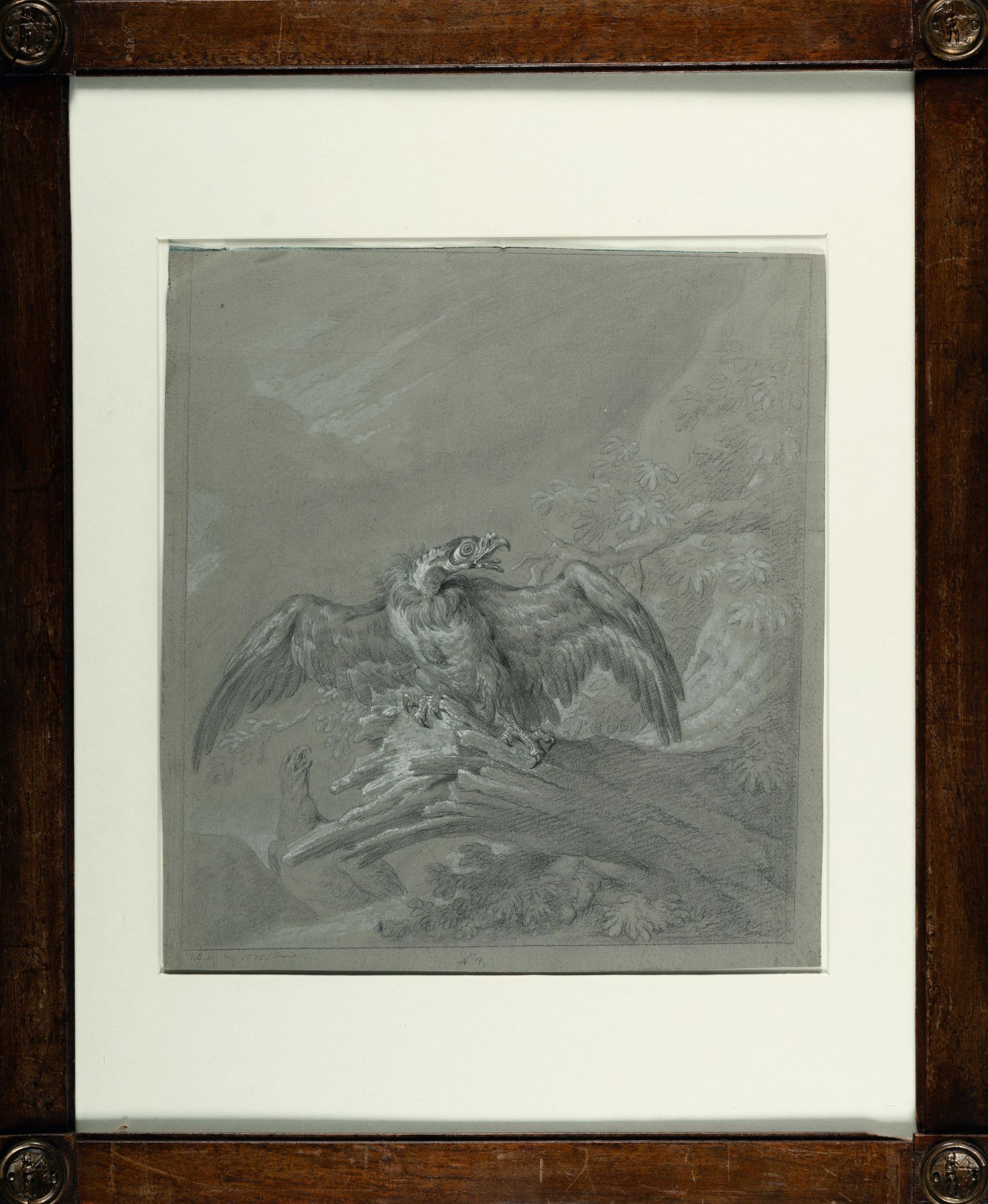 Johann Elias Ridinger (1698 Ulm - Augsburg 1767) – 2 sheets: European Eagle (King Vulture) - Eagle - Image 7 of 8