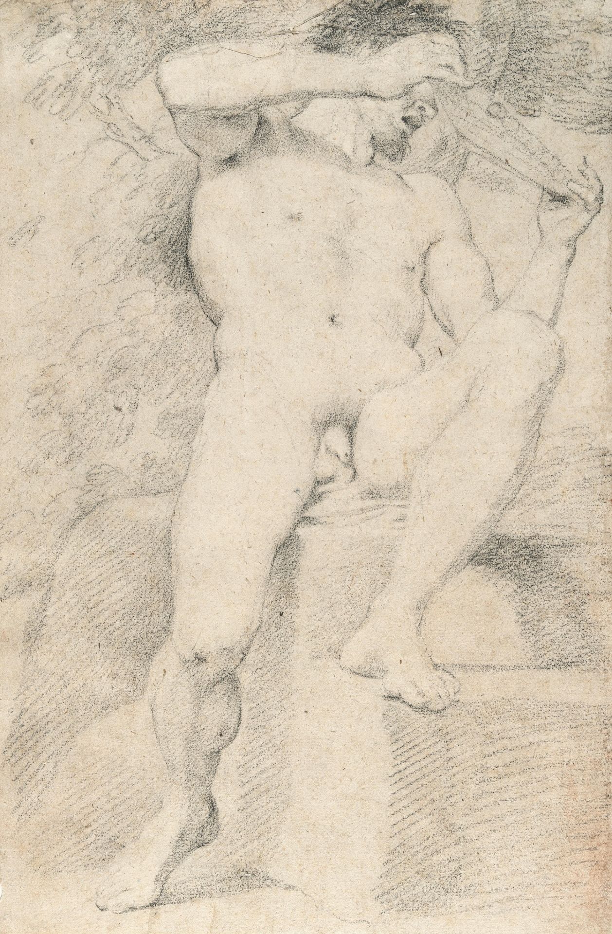 Annibale Carracci (Nachfolge) (1560 Bologna - Rom 1609) – Study of a faun, his gaze averted.Black