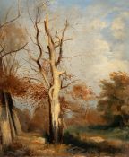 Carl Maria Nicolaus Hummel (Zugeschrieben) (1821 - Weimar - 1907) – Waldstück mit kahlem Baum im Mor
