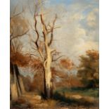 Carl Maria Nicolaus Hummel (Zugeschrieben) (1821 - Weimar - 1907) – Forest with bare tree in the