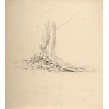 Caspar David Friedrich (1774 Greifswald - Dresden 1840) – Wurzelbereich einer Erle