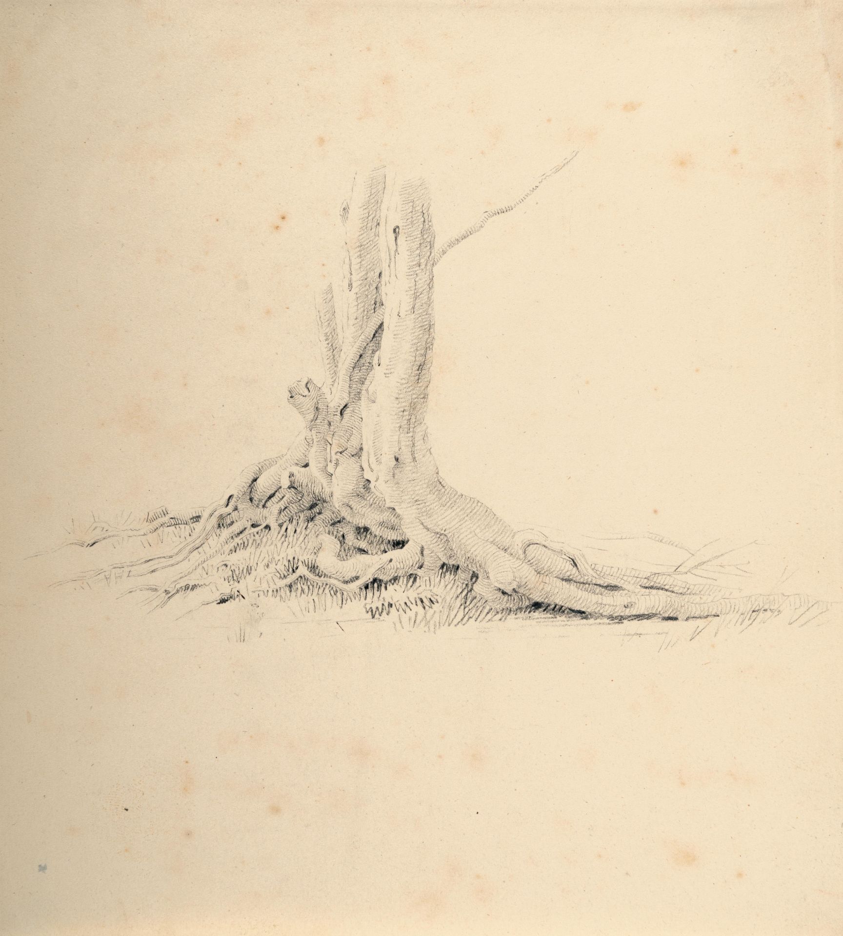 Caspar David Friedrich (1774 Greifswald - Dresden 1840) – Roots of an alder.Pencil on wove. (c.