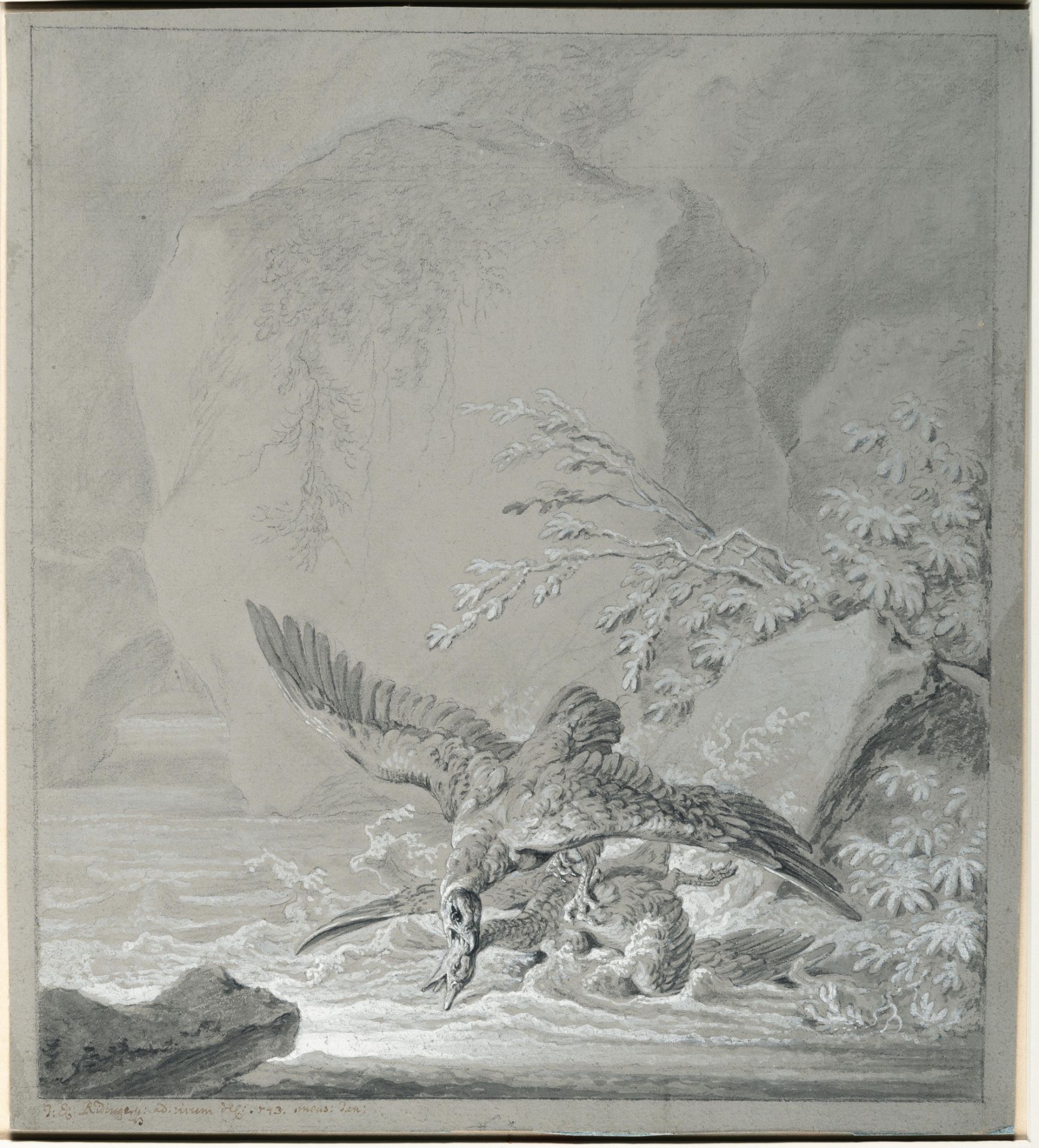 Johann Elias Ridinger (1698 Ulm - Augsburg 1767) – 2 sheets: European Eagle (King Vulture) - Eagle - Image 3 of 8