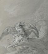 Johann Elias Ridinger (1698 Ulm - Augsburg 1767) – 2 Bll.: Europäischer Adler (Geier König) – Adler 