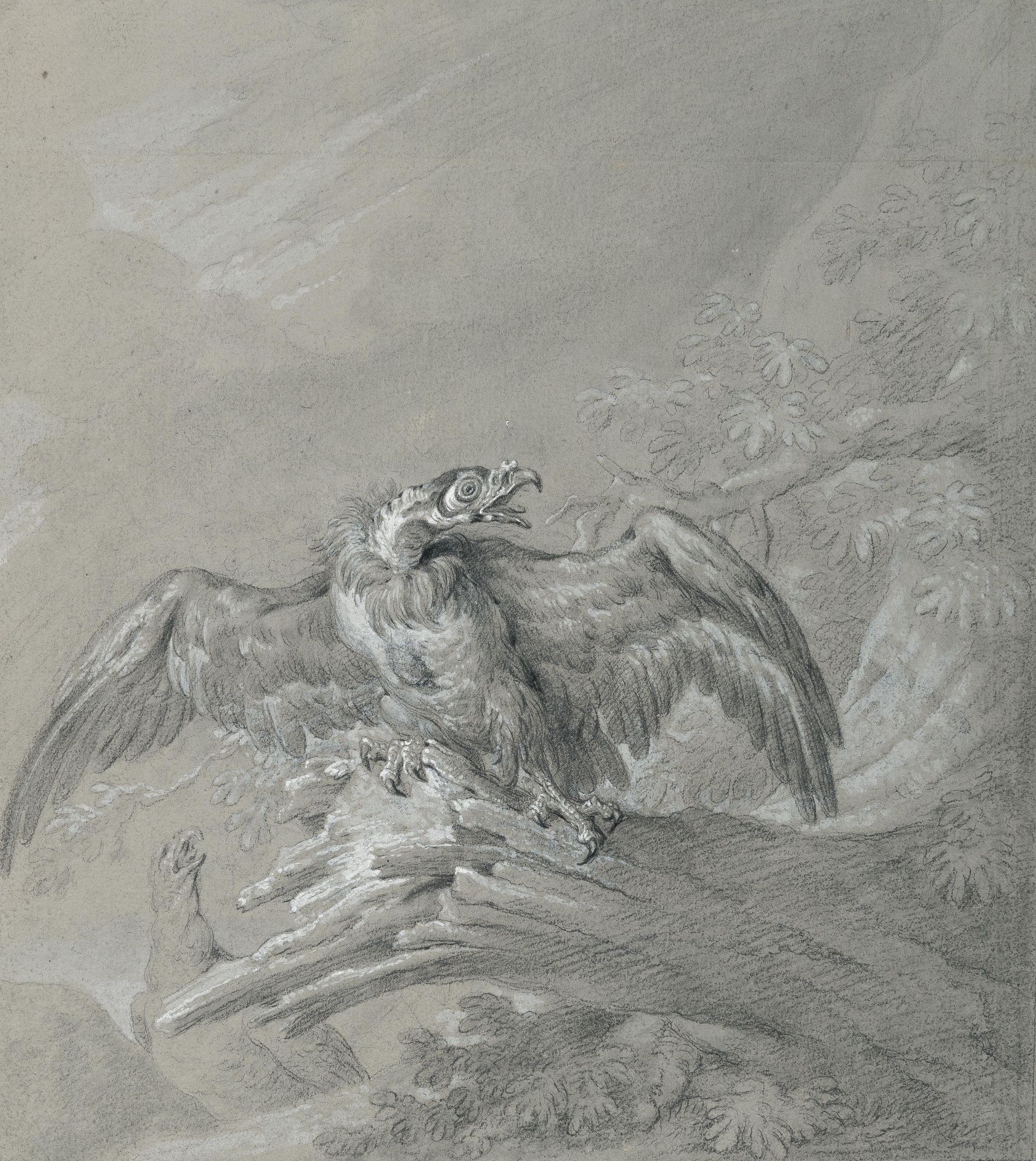 Johann Elias Ridinger (1698 Ulm - Augsburg 1767) – 2 sheets: European Eagle (King Vulture) - Eagle