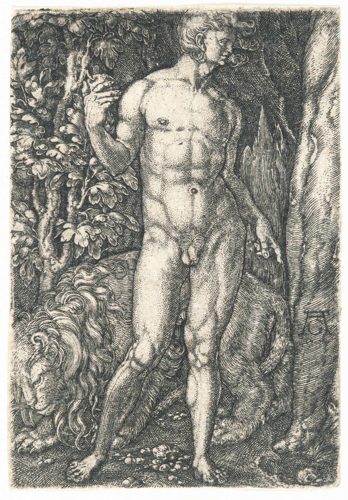 Heinrich Aldegrever – Adam mit dem Löwen - Bild 2 aus 3