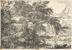 Jacob van Ruisdael – Die Hütte auf der Anhöhe