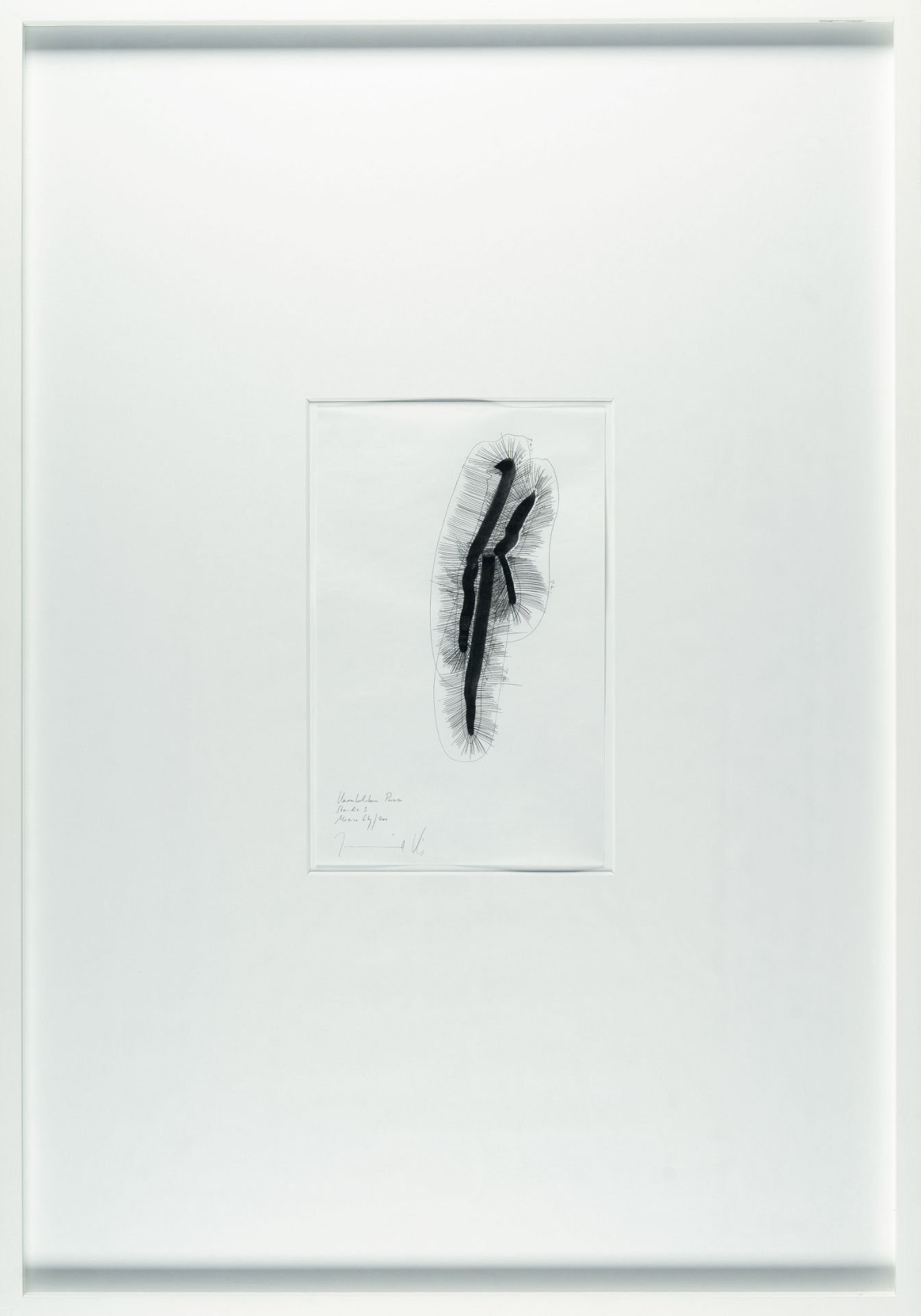 Jorinde Voigt (1977 Frankfurt/Main) – Unumkehrbare Prozesse Studie 1-7.Ink and pencil on thin - Image 10 of 11