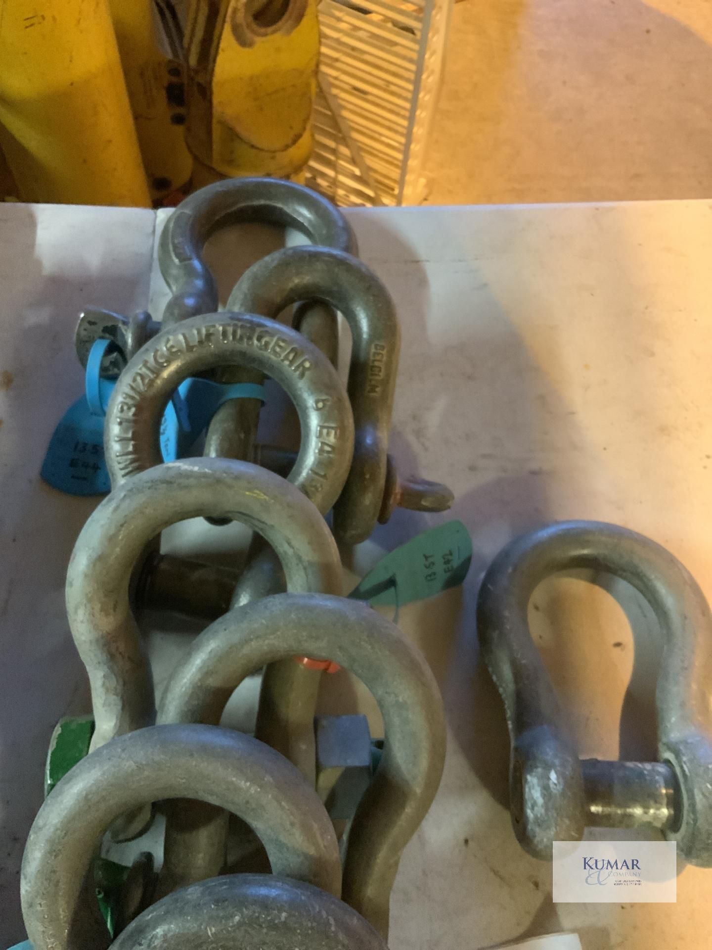 8: 13.5 tonne D shackles - Image 3 of 4