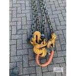 2 leg .21.2 tonne. 23 mm diameter lifting chain