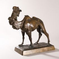 Jan Antoni Biernacki, Bronze Kamel. 1909 (1879-1930)
