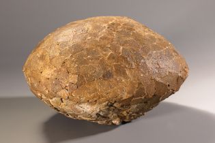Fossilized dinosaur egg attributed to Hypselosaurus Priscus, France