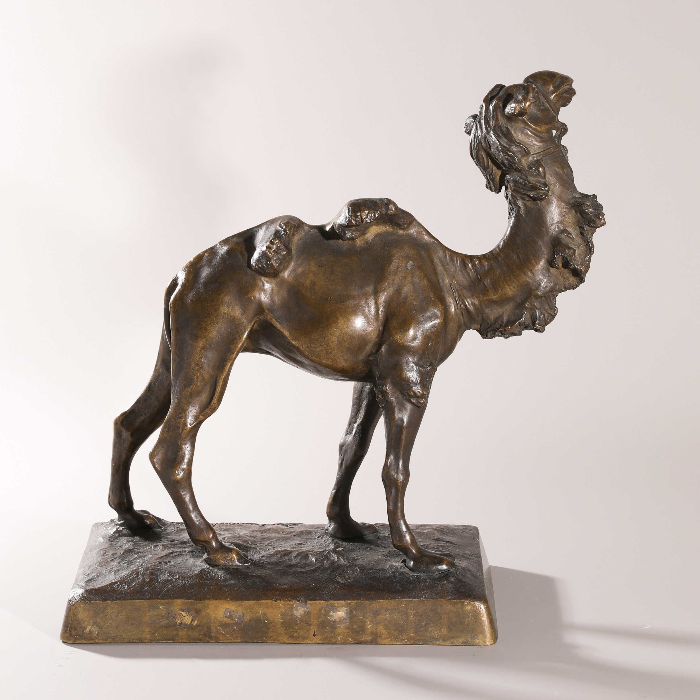 Jan Antoni Biernacki, bronze camel. 1909 (1879-1930) - Image 5 of 7